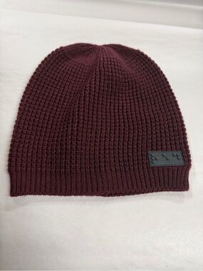 Two Blind Brothers Beanie